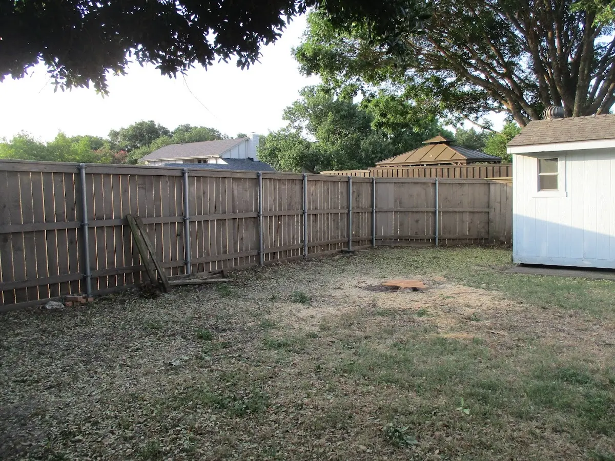 Cleared yard after professional tree removal in Los Fresnos